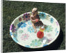 1970s baby sitting in plastic backyard kiddy pool viewed from above by Anonymous