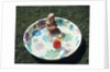 1970s baby sitting in plastic backyard kiddy pool viewed from above by Anonymous
