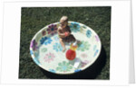 1970s baby sitting in plastic backyard kiddy pool viewed from above by Anonymous