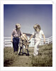 1940s 1950s boy girl leading young calf on farm by Anonymous