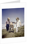 1940s 1950s boy girl leading young calf on farm by Anonymous