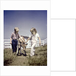 1940s 1950s boy girl leading young calf on farm by Anonymous