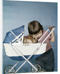 1950s 1960s little girl hugging cocker spaniel puppy riding in a baby carriage studio by Anonymous