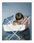 1950s 1960s little girl hugging cocker spaniel puppy riding in a baby carriage studio by Anonymous
