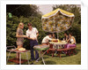 1970s group teenagers boys girls backyard grilling table umbrella by Anonymous