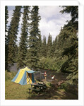 1970s couple man woman fishing in stream campsite with tent by Anonymous