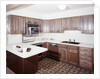 1970s kitchen with dark wooden cabinets and a microwave oven over the stove by Anonymous