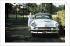 1950s 1955 woman standing beside 1954 mercury automobile by Anonymous