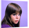 1960s portrait young brunette woman teen head shoulders purple background by Anonymous