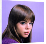 1960s portrait young brunette woman teen head shoulders purple background by Anonymous