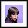 1960s portrait young brunette woman teen head shoulders purple background by Anonymous