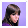 1960s portrait young brunette woman teen head shoulders purple background by Anonymous