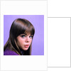 1960s portrait young brunette woman teen head shoulders purple background by Anonymous