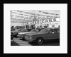 1970s cars for sale in outdoor ok used car lot by Anonymous