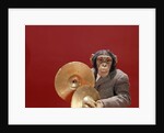 1960s chimpanzee wearing suit and tie playing cymbals by Anonymous