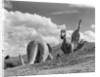 1950s dinosaur park south dakota three dinosaur statues on hillside by Anonymous
