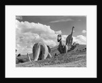 1950s dinosaur park south dakota three dinosaur statues on hillside by Anonymous