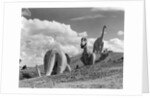 1950s dinosaur park south dakota three dinosaur statues on hillside by Anonymous