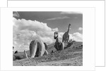 1950s dinosaur park south dakota three dinosaur statues on hillside by Anonymous