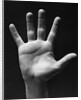 1930s palm of man's hand gesture of stop halt by Anonymous