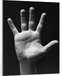 1930s palm of man's hand gesture of stop halt by Anonymous
