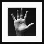 1930s palm of man's hand gesture of stop halt by Anonymous