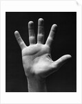 1930s palm of man's hand gesture of stop halt by Anonymous