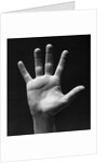 1930s palm of man's hand gesture of stop halt by Anonymous