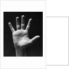 1930s palm of man's hand gesture of stop halt by Anonymous