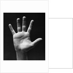 1930s palm of man's hand gesture of stop halt by Anonymous