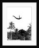 1940s man poised midair arms out jumping from diving board into pool by Anonymous