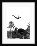1940s man poised midair arms out jumping from diving board into pool by Anonymous