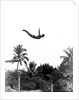 1940s man poised midair arms out jumping from diving board into pool by Anonymous