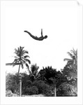 1940s man poised midair arms out jumping from diving board into pool by Anonymous
