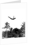1940s man poised midair arms out jumping from diving board into pool by Anonymous