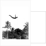 1940s man poised midair arms out jumping from diving board into pool by Anonymous