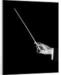 1950s male orchestra conductor's hand holding baton by Anonymous