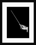 1950s male orchestra conductor's hand holding baton by Anonymous