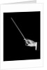 1950s male orchestra conductor's hand holding baton by Anonymous