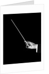 1950s male orchestra conductor's hand holding baton by Anonymous