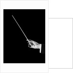 1950s male orchestra conductor's hand holding baton by Anonymous