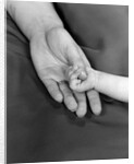 1950s close-up of baby holding mother's thumb by Anonymous