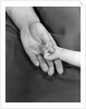 1950s close-up of baby holding mother's thumb by Anonymous