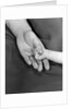 1950s close-up of baby holding mother's thumb by Anonymous