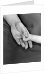 1950s close-up of baby holding mother's thumb by Anonymous