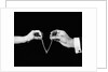 1940s man's & woman's hands pulling on either side of wishbone by Anonymous