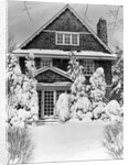 1940s three story shingle style house with pine trees and shrubs covered with snow by Anonymous