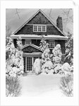 1940s three story shingle style house with pine trees and shrubs covered with snow by Anonymous