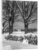 1940s pile of snow-covered firewood logs stacked between two trees with country church in background by Anonymous