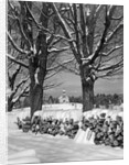 1940s pile of snow-covered firewood logs stacked between two trees with country church in background by Anonymous